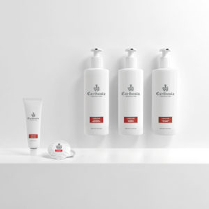 Gel de douche, Shampoing